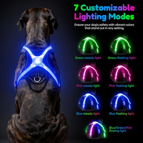 LED Hundegeschirr Leuchtend, Multicolor Reflektierendes Leuchthundegeschirr für Nacht, USB-C Wiederaufladbar mit Batterieanzeige, Verstellbares No-Pull Geschirr für Sichere Spaziergänge (L)