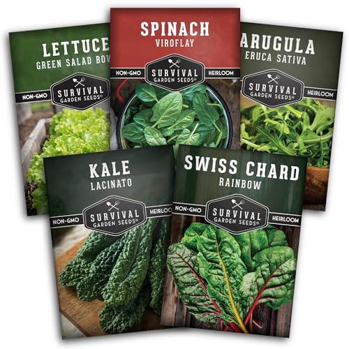 Leafy Greens Seeds Variety Pack &ndash; 5 Heirlooms: Viroflay Spinach, Arugula, Lacinato Kale, Salad...