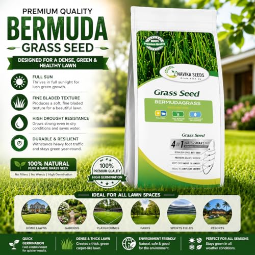 Image of American Bermuda Lawn Grass Seeds for Lawn, Turf, Cricket Ground, Stadium, Park, Farmhouse, Sports Field, Garden Grass, Fast Growing, Gardening Seeds | Free Growing Guide | (1 Kg Bermuda Grass Seeds)