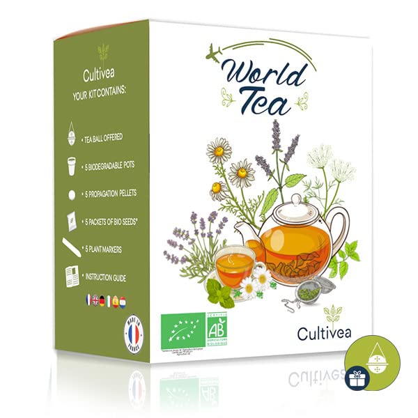 Cultivea – Mini Kit (World Tea)