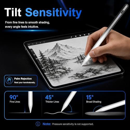 Image of HATOKU Stylus Pen for Apple iPad 2018-2026 for Note Drawing Black White