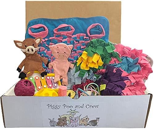 Piggy Poo and Crew Pet Box - (Purple/Yellow)