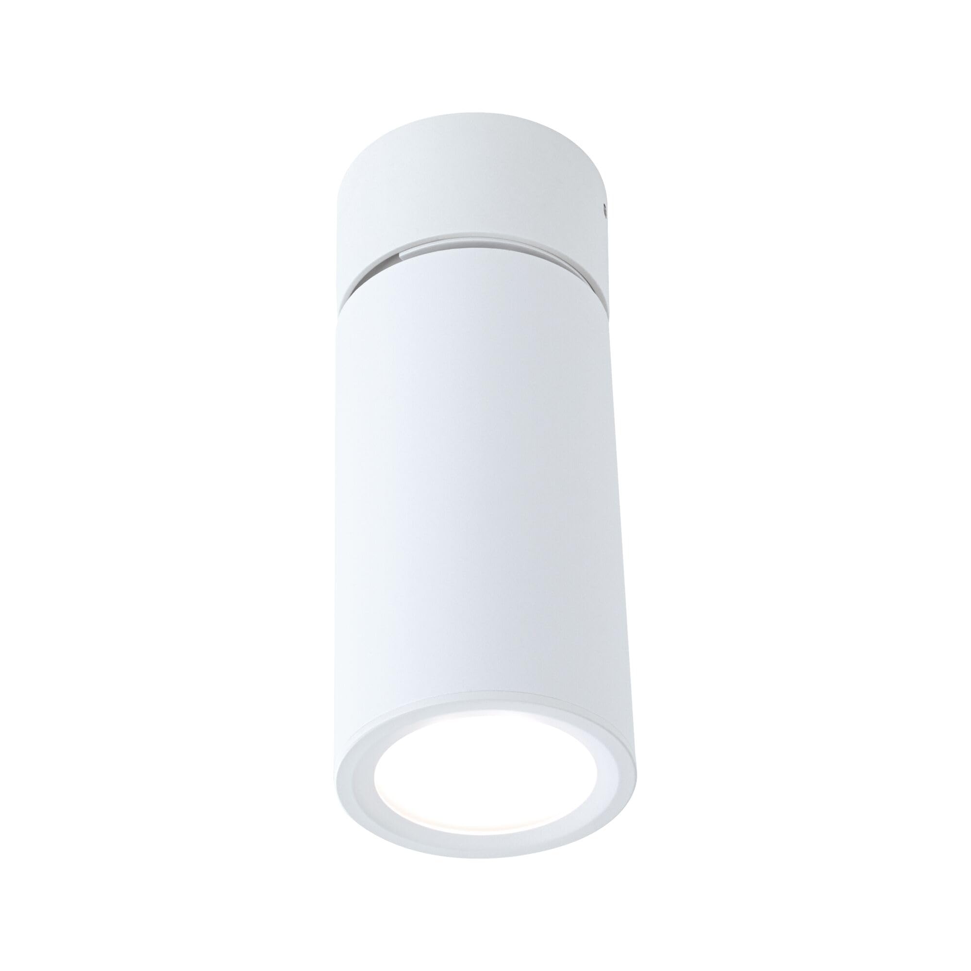 Paulmann 93087 LED Plafonniers Turnal 470lm 3-Step-Dim orientable rond incl. 1x6 Watt dimmable Plafonnier blanc dépoli métal 2700 K Coin