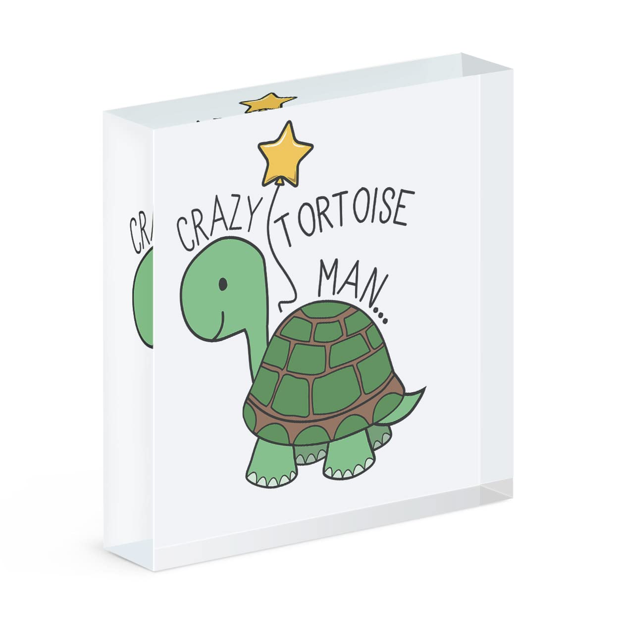 Cadre photo bloc acrylique unique pour décorer un bureau avec le motif tortue homme