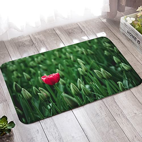 Paillasson Interieur Bienvenue Tapis Entree Cuisine Salle de Bain