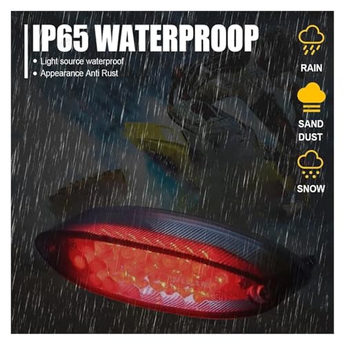 Luz trasera de motocicleta universal LED con iluminación de matrícula 2