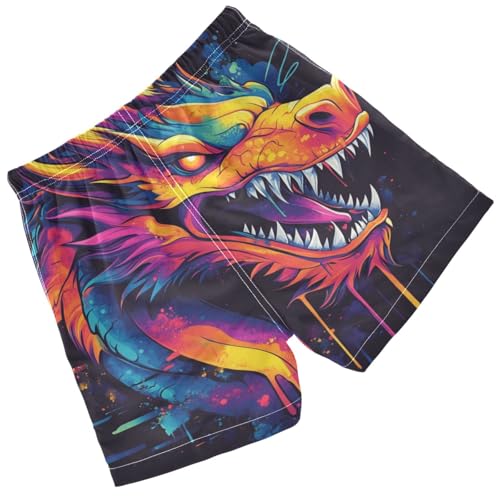 Pigsaly Boys Swim Trunks Angry Dragon Painted Boys Board Shorts Swimsuit Swimwear Summer Bathing Suit XS Multicolor2