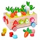 Dr. MUYA® Montessori Spielzeug 1 2 3 Jahre, Montessori Spielzeug ab 1 Jahr, Motorikspielzeug, Steckspiel, Holzspielzeug, Spielzeug ab 1 Jahr, Lernspielzeug, Geschenk 1-3 Jahre Kinder Junge Mädchen