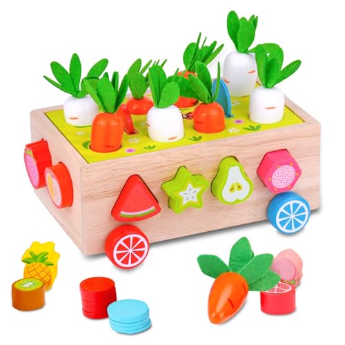 Jeux enfant 2 ans et jouets éducatifs en bois pour fille et garçon