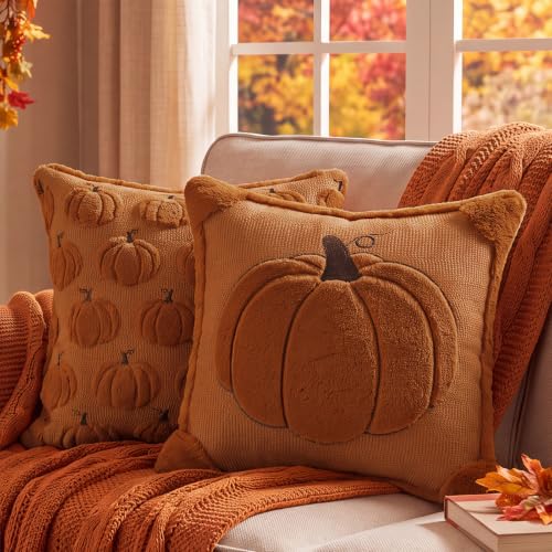 Fall Pillow Covers 20x20 Set of 2 Reversible Burnt Orange Pumpkin Plush