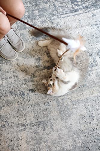 Our Pets Play-N-Squeak At Night Twinkle Mouse Cat Wand Interactive Cat Toy (Cat Toys For Indoor Cats, Interactive Cat Toy, Catnip Toys) Cat Toy Wand Interactive Cat Toys For Indoor Cats With Catnip #TOP2