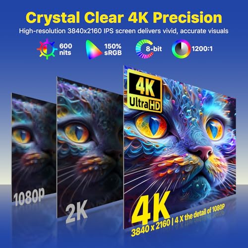 Portable Monitor for Laptop 17.3 Inch