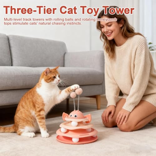 Jeux interactifs pour enrichir la stimulation mentale du chat d'intérieur - 3