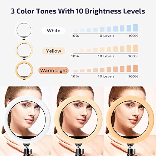 Ringlicht mit Stativ 10 Zoll, Selfie Ringleuchte, LED lichtring Laptop, Dimmbare Tischringlicht für YouTube, TikTok… – Bild 3