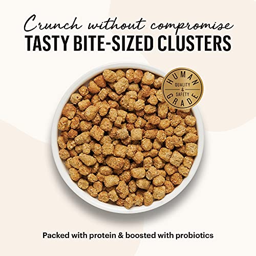 Image of The Honest Kitchen Whole Food Clusters Grain Free Chicken & Fish Dry Cat Food, 1 lb Trial Pouch (Pack of 2)