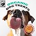 Wet Noses Organic Crunchy Dog Treats – All-Natural, Human-Grade, Non-GMO, Healthy Training & Delicious Snacks for Dogs, for All Dog Sizes & Breeds – Peanut Butter & Molasses, 14oz (Single Pack)