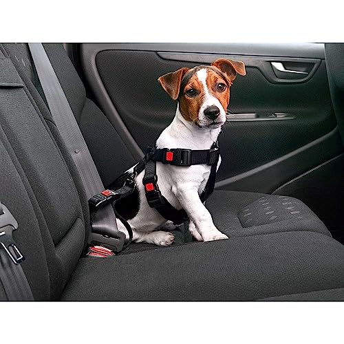 Karlie Auto-Sicherheitsgeschirr Nylon L: 50 - 70 cm L schwarz