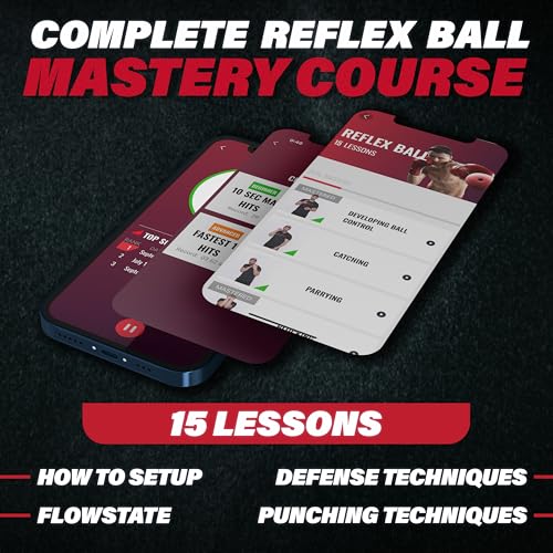 Champs MMA Boxing Reflex Ball Set Review