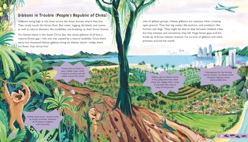 Wildlife Crossings: Protecting Animal Pathways Around the World - Image 4