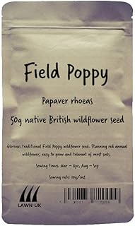 50g Field Poppy - Papaver rhoeas - Native British Wildflower Seed