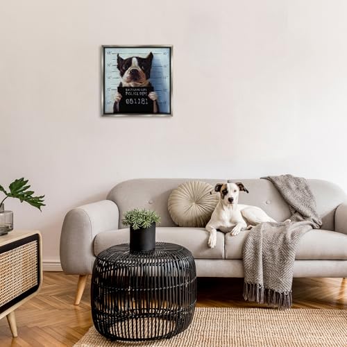 Image of Boston Terrier Mugshot Humor, 24 x 24 Inch Canvas in Floater Frame | Stupell Industries . By Lucia Heffernan . Ready to hang once unboxed . Great gift for dog lovers . Made in USA