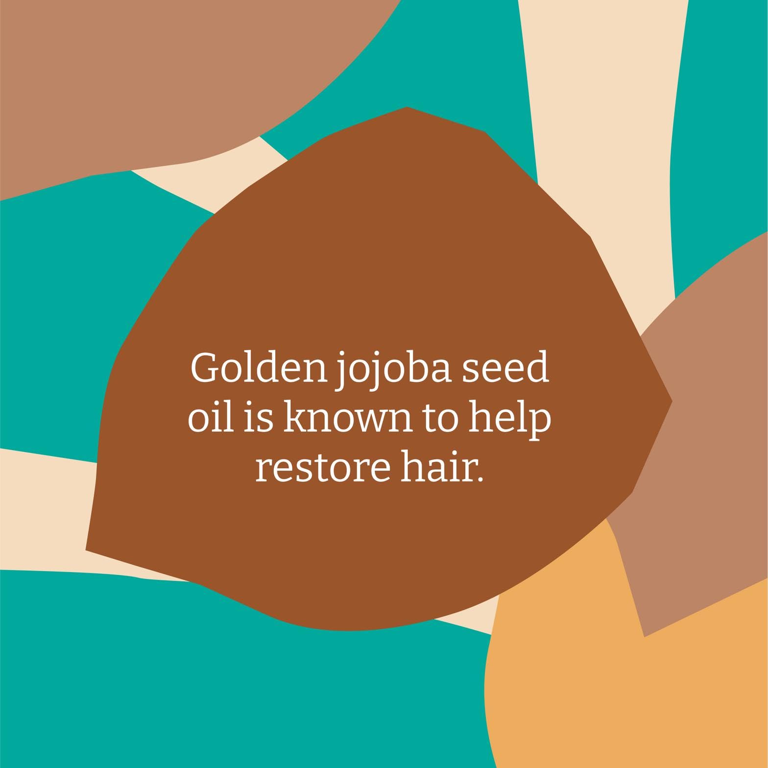 Faith In Nature Naturalna odżywka do włosów jojoba, wygładzająca, wegańska i wolna od okrucieństwa, bez SLS i parabenów, do włosów normalnych i suchych, opakowanie uzupełniające 5 l