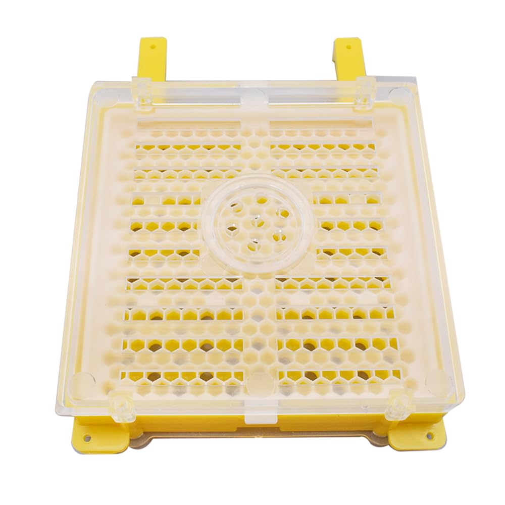 Kit complet d'élevage de reines - Incubateur d'abeille - Kit d'outils d'apiculture Queen Cell - Système d'élevage complet