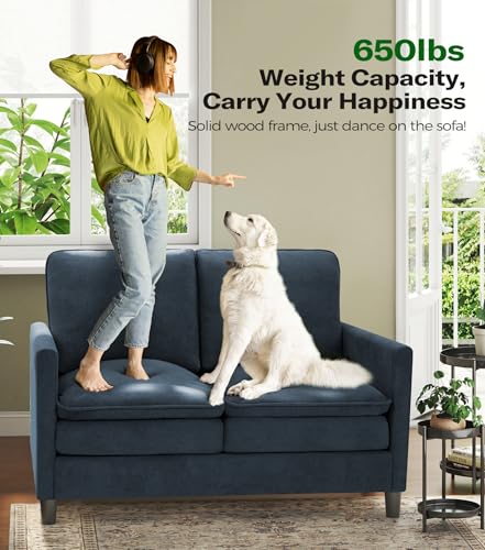 Image of Welzona 3-Layers Cloud Loveseat Sofa, 51 inch Small Couch, Teddy Small Sofa | Comfy Teddy Fabric, Washable Covers, Tool-Free Setup, All-wood Futon Couch for Living Room, Bedroom, Small Spaces, Blue Grey