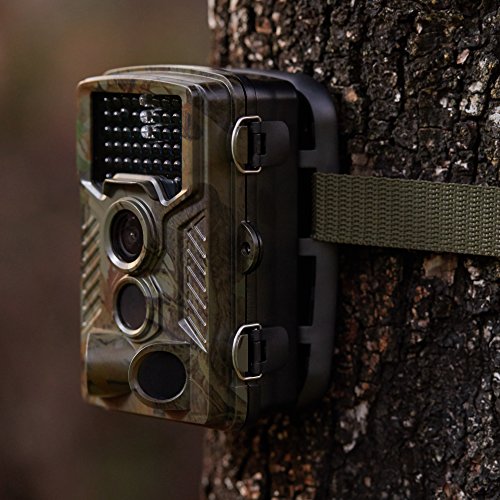 Rexing Woodlens H1 Hd 16Mp Trail Camera Day & Night Ultra Fast Motion Detection, 0.2S Trigger Speed, Led Flash Photo, Video Hunting Game Personal Surveillance Cam (Rexing H1) #TOP5