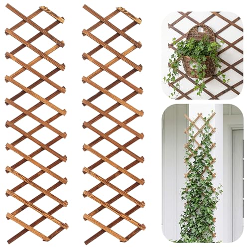 2 Pièces Treillis Extensible pour Plantes, 170CM x 33CM Panneau en Treillis de Bois pour Plantes Grimpantes Cadre Décoratif Mural Suspendu pour Chambre...