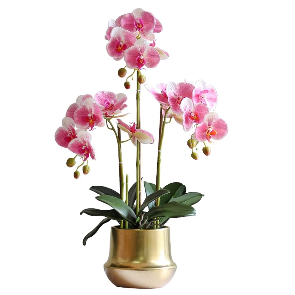 IUokLU Artificial Phalaenopsis Flowers,Fake Orchids Artificial Flowers In Vase Artificial Flowers In Vase, Artificial Flowers For Decoration, Fake Flowers Orchid Phalaenopsis