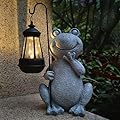VIOYOUNS Frog Solar Garden Statues,Resin Frog Figurine Decorations with Solar Lights Lantern, Outdoor Garden Decor Art for Lawn,Yard, Unique Housewarming Gift for Women Mom Grandma