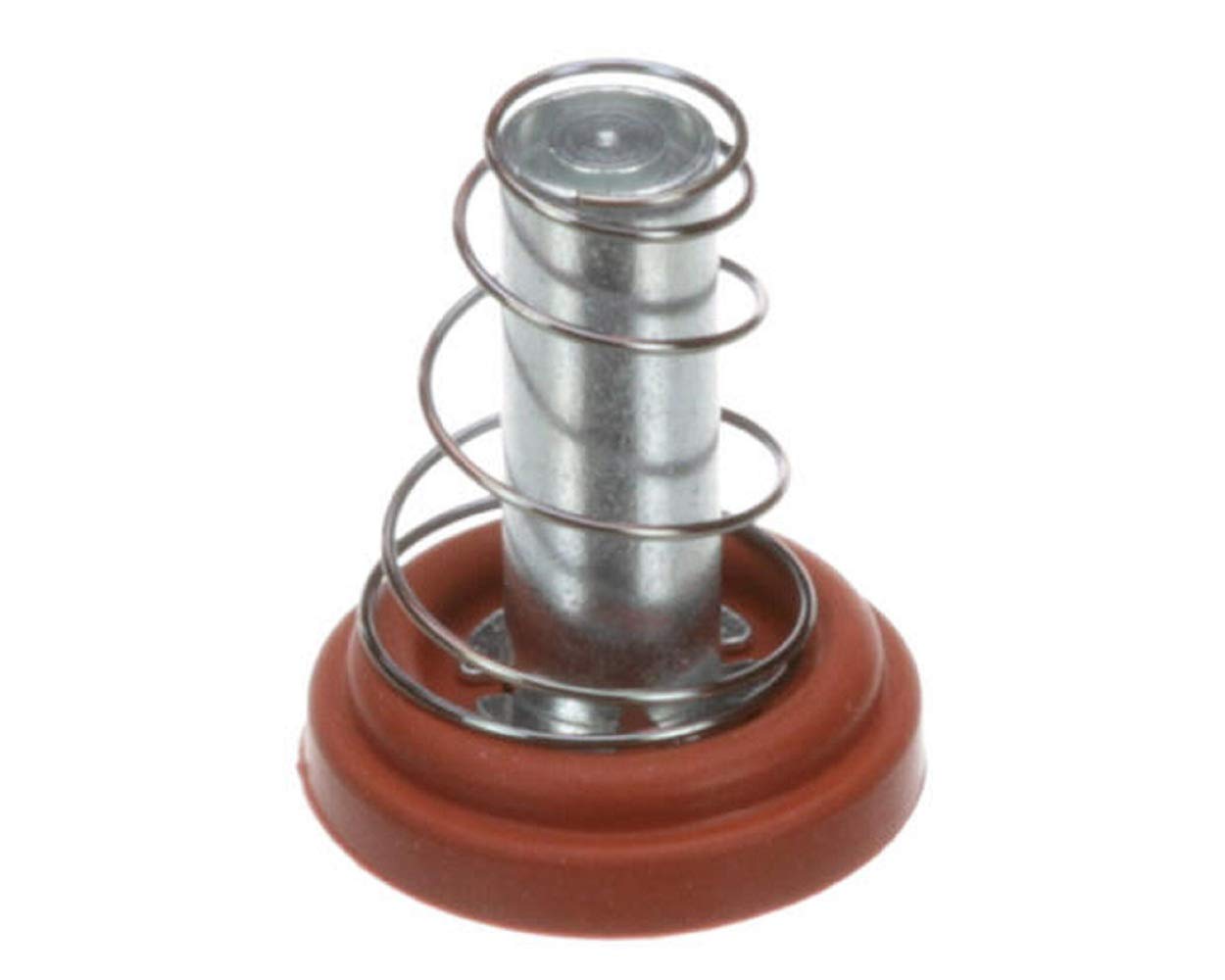 Wilbur Curtis WC-37132-101 Kit, Valve Repair for Deltrol Wc-820Wdr,Wc-821Wdr, Wc-844Wdr