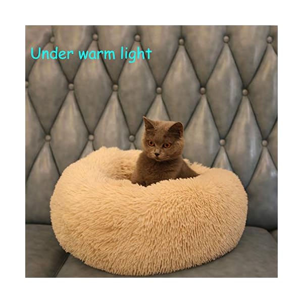 BODISEINT WonderKathy Haustierbett für Katzen oder kleine Hunde, modernes weiches Plüsch-Haustierbett für Katzen oder kleine Hunde, mittelgroß, selbstwärmend, für Herbst und Winter, für den – Bild 6