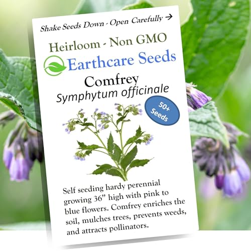 Image of Earthcare Seeds True Comfrey 50 Seeds (Symphytum officinale) Non GMO, Heirloom