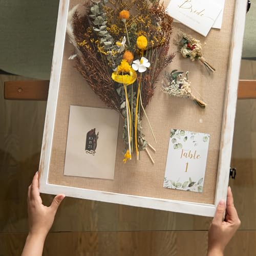 Vitrine en bois Peyton protège et expose vos objets de collection