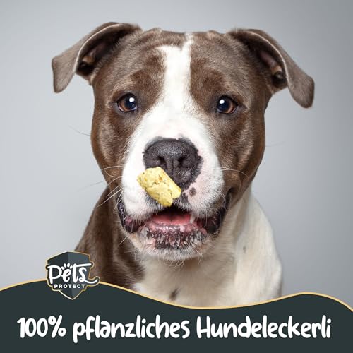Pets Protect Veggie Snack 150 g | Vegane Leckerlis aus Gemüse & Früchten | Getreidefrei | Ohne künstliche Zusätze | Leckerli für große & kleine Hunde & Welpen | Deutsche Herstellung