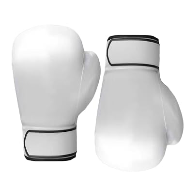 Heavy Bag Gloves 10oz Punching Kickboxing Gear