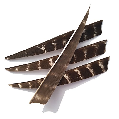SHARROW 50pcs Plume de Flèche Naturelle 5 Pouces Tir à l'arc Chasse RH