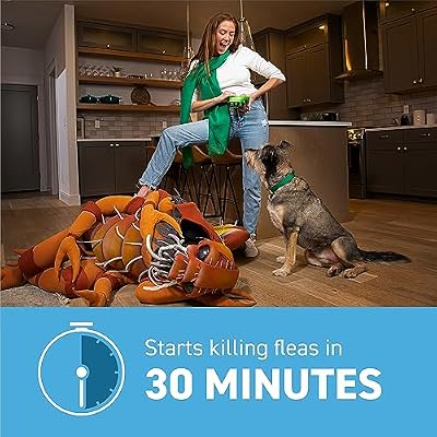 ADVECTA Flea and Tick Prevention for Medium Dogs 11-20 lbs (2 Doses) + CAPSTAR Flea Treatment for Dogs 2-25 lbs (6 Doses) Bundle