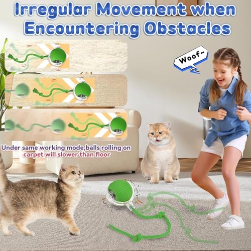 DAMIGHT Interaktives Katzenspielzeug, Katzenball Spielzeug Elektrisch, 360° Rolling Intelligentes Katzenspielzeug Wiederaufladbar über USB, Bewegliches Spielball für Katzen und Hunde Innenbereich