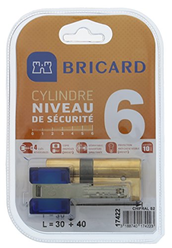 Bricard 17422 Cylindre de serrure double entrée Chifral S2 30x40 Laiton Jaune