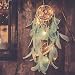 Qukueoy Light Up Dream Catchers for Bedroom Wall Hanging Decorations, LED Dreamcatcher Home Ornaments with 20 LED Lights,Fantasy Gifts for Kids, Caught Your Dream (Light Green)