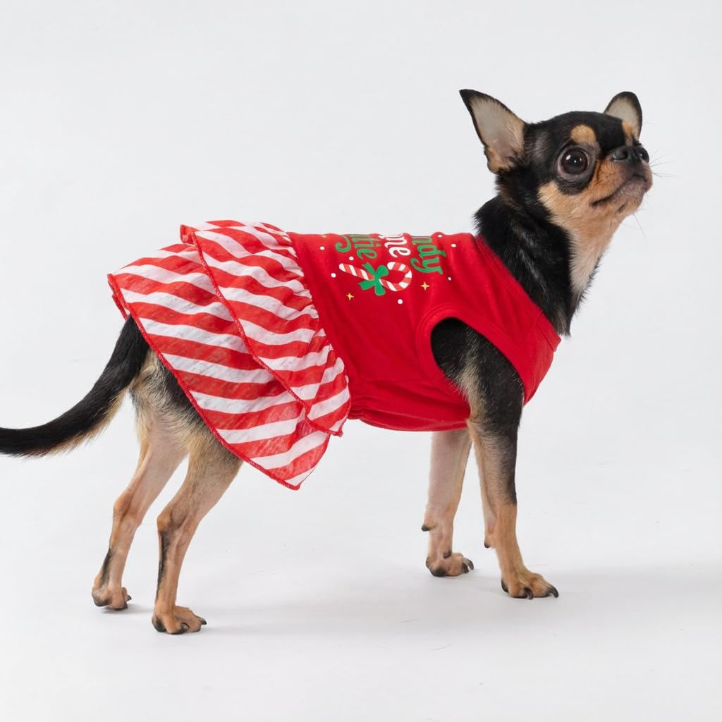 Fitwarm Candy Cane Cutie Dog Tiered Dress, Christmas Outfit for Small Dogs Girl, Funny Holiday Pet Clothes, Red, White, Green, XXS : Pet Supplies