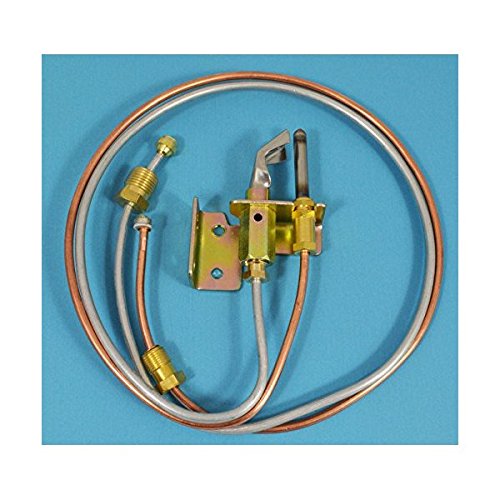 The Best Ao Smith Promax Plus of 2022 Top 10, Best Value, Best Affordable