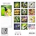 2026 Garden Birds Calendar - Cute Animal Calendar - 12 x 24 Open - Thick No-Bleed Paper - 14 Month Planner Calendar Organizing & Planning