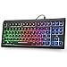 Rii Gaming Tastatur USB, Regenbogen beleuchtete Tastatur, PC Tastatur LED 88 Tasten, 19 Tasten Anti- Ghosting, Wired Keyboard ideal für Gaming und Büro, Schwarz（DE-Layout）