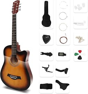 アコースティックギター 17点セット 初心者入門セット 練習ギター ソフトケース付き アコギ guitar 艶サンセットレッド LGJT-RL