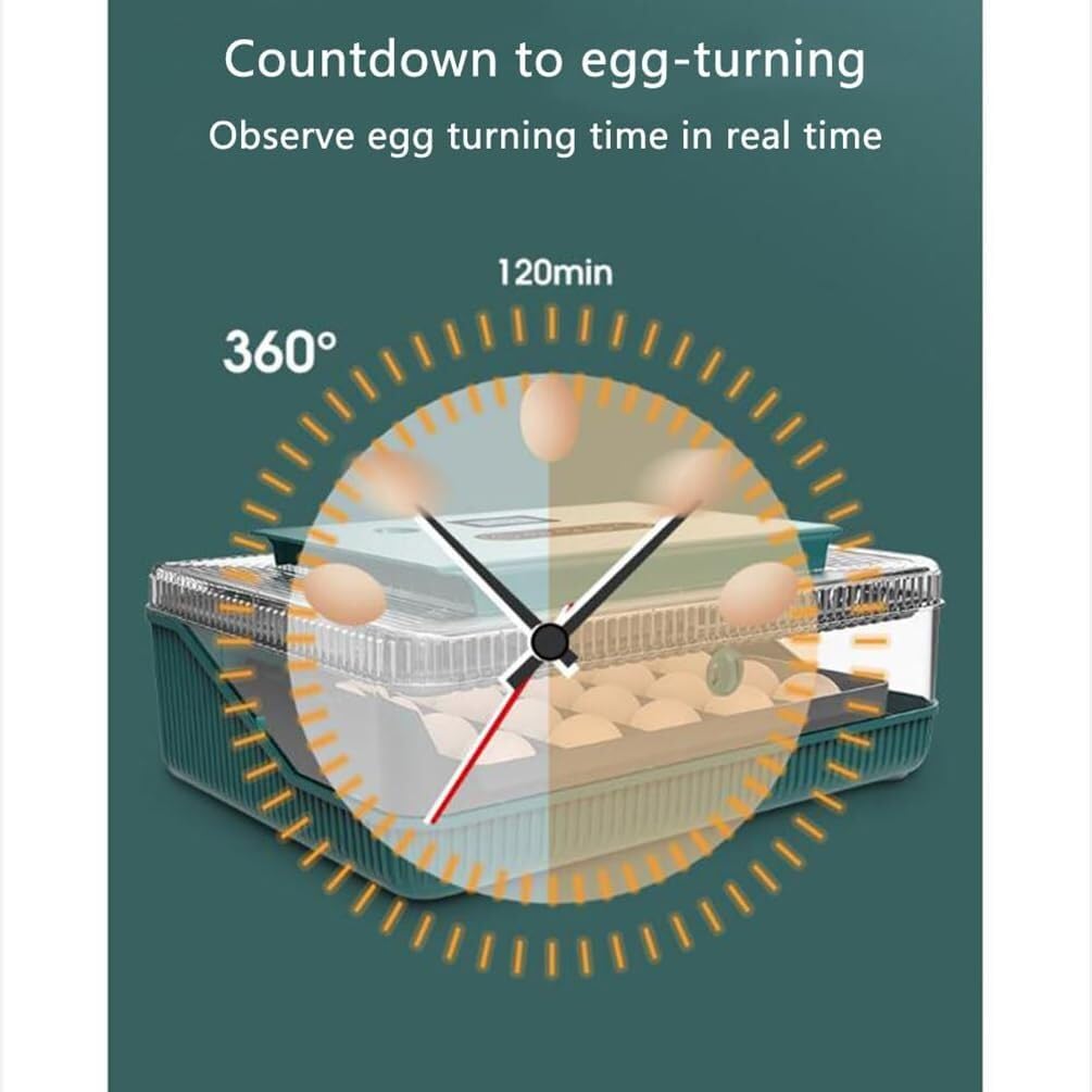 Incubadora de Huevos 25 Automática con Giro Automático 360°, Pantalla LED Inteligente Temperatura y Humedad, Incubadora para Pollos Patos Gansos, Uso Doméstico Educativo y de Laboratorio