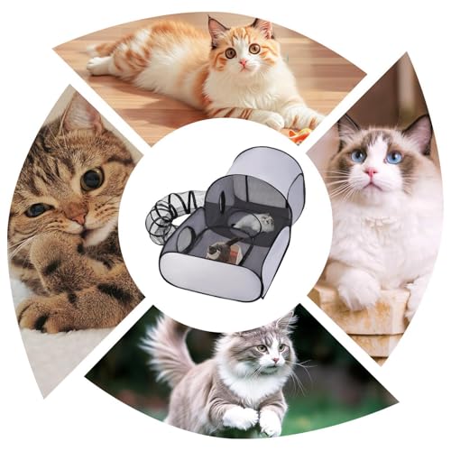 Parc pour chat extérieur et intérieur idéal pour le voyage